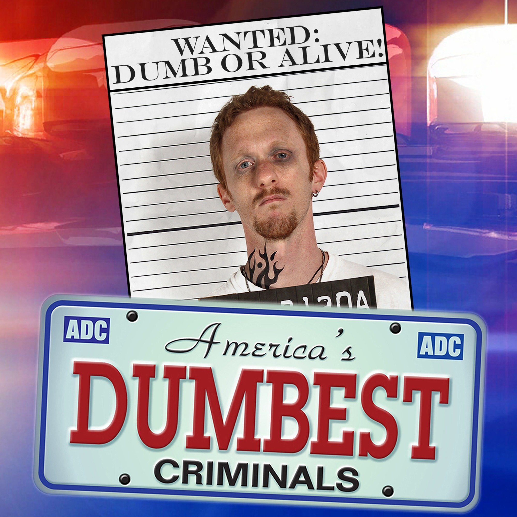 America's Dumbest Criminals