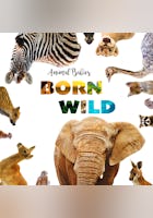 Animal Babies Born Wild