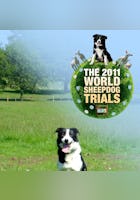 The World Sheep Dog Trials