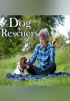 Dog Rescuers With Alan Davies