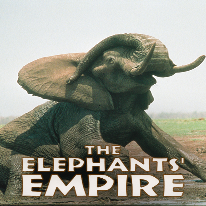 Elephant Empire