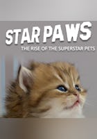 Star Paws: The Rise of the Superstar Pets