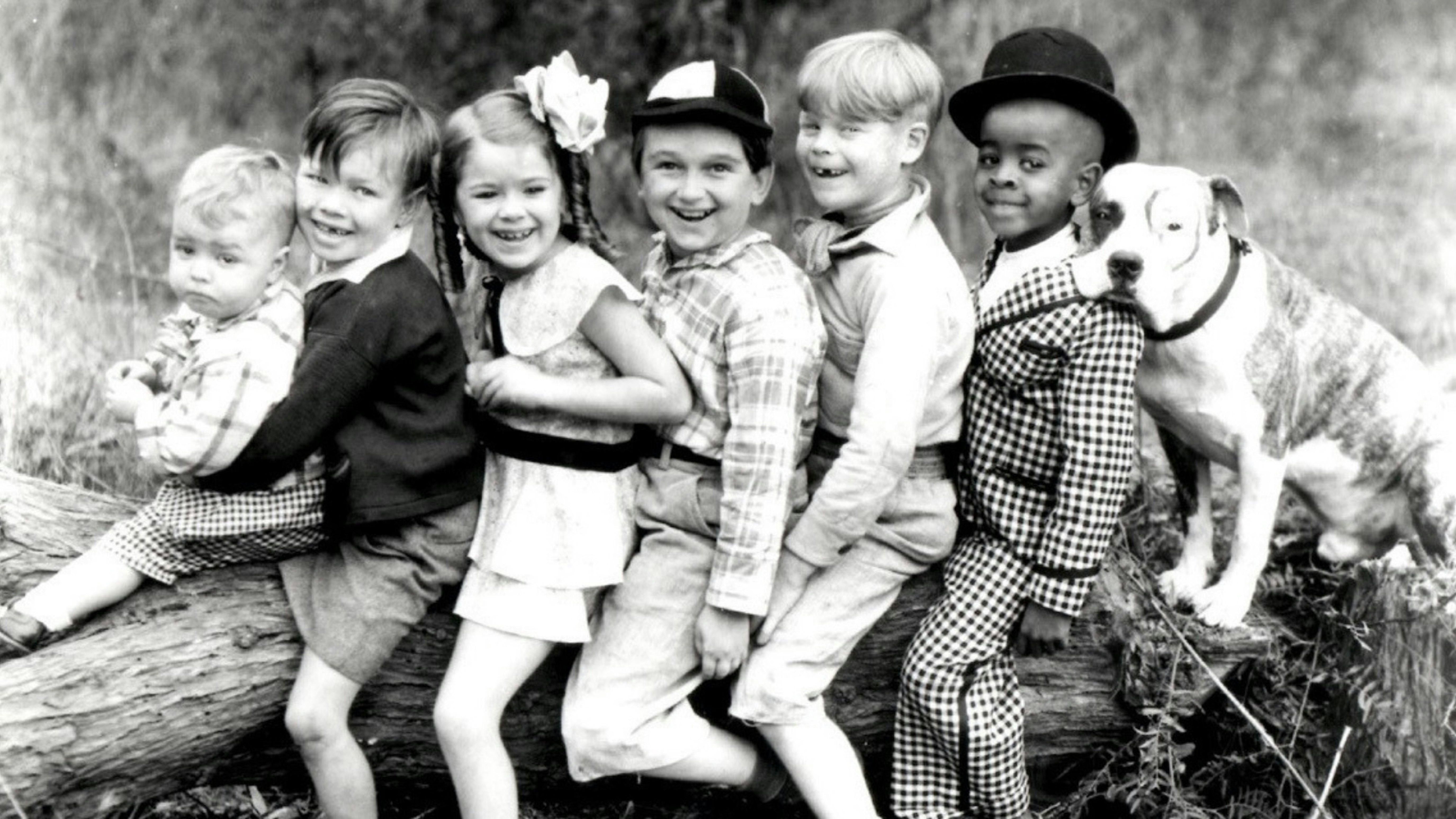 Watch The Little Rascals for Free Online | Pluto TV