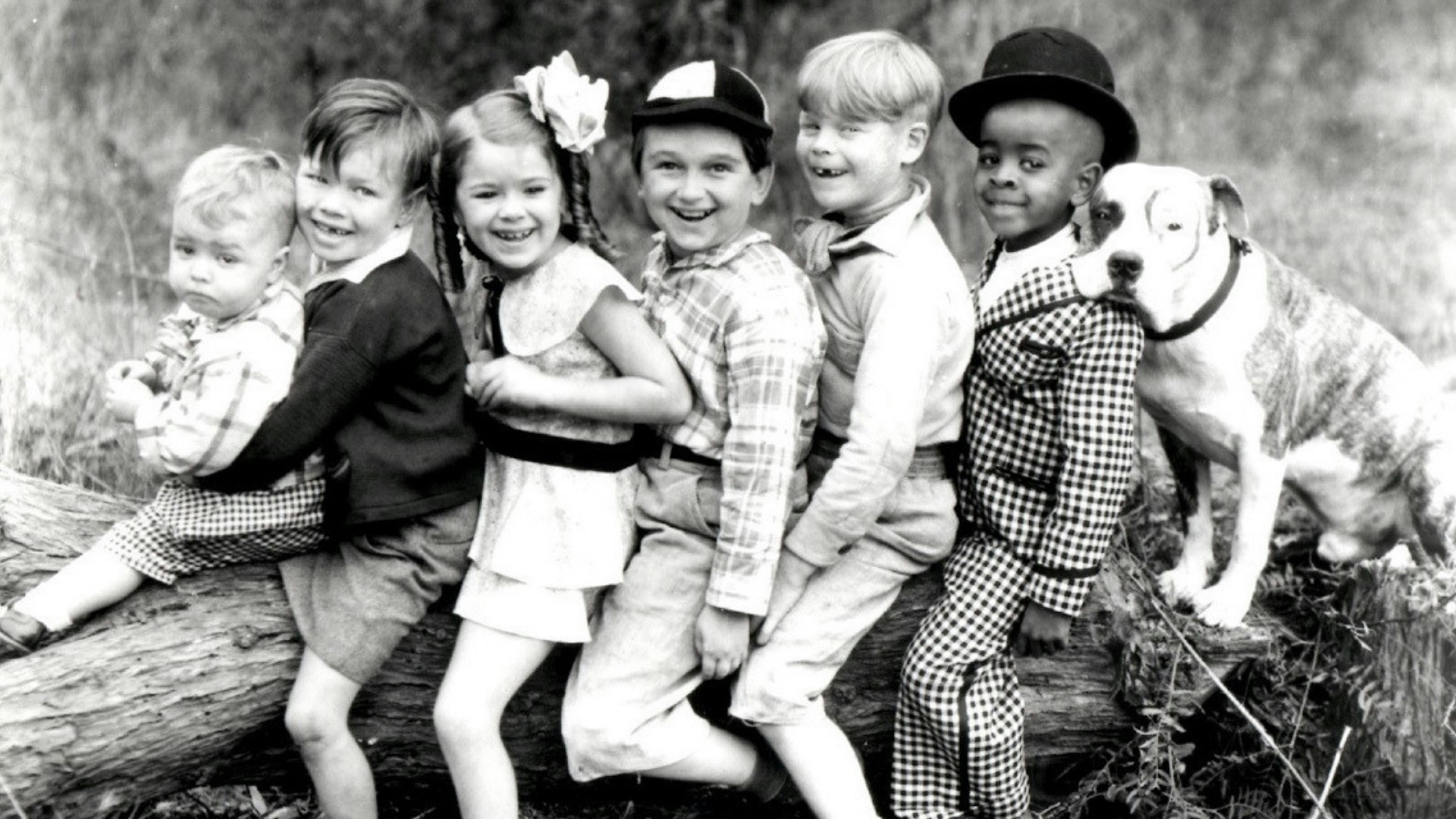 Watch The Little Rascals for Free Online | Pluto TV