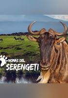 Nomads of the Serengeti (LAS)