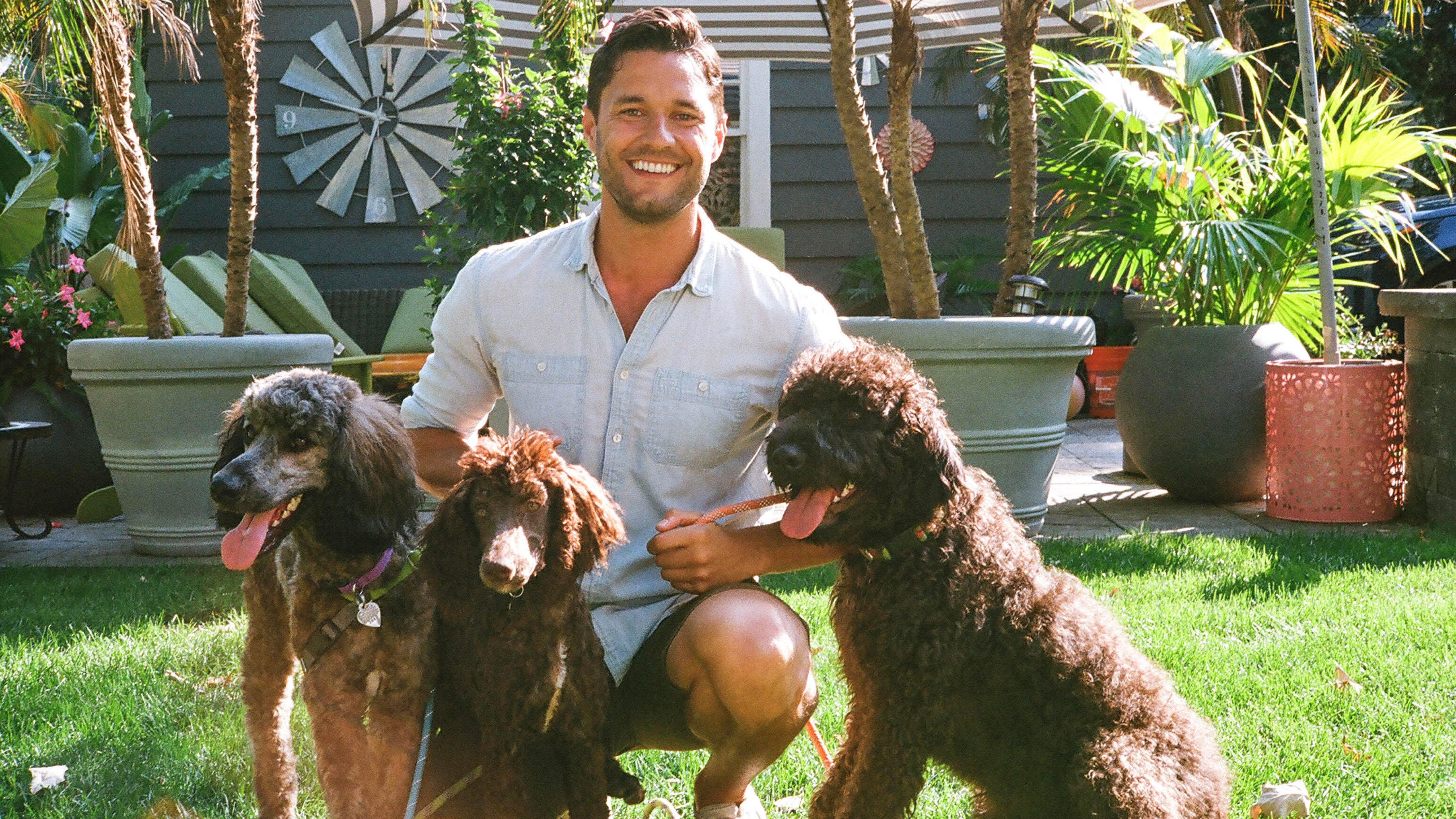 Ready, Set, Pet Watch Free on Pluto TV United States