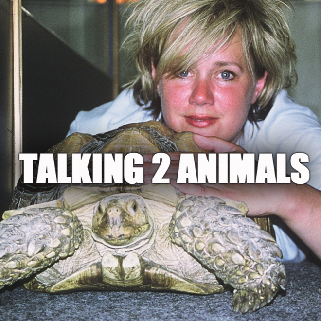 Talking to Animals