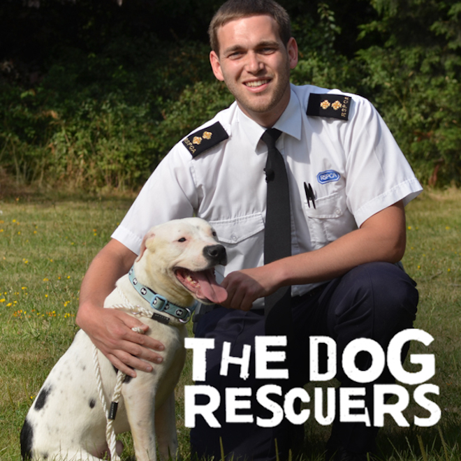 The Dog Rescuers