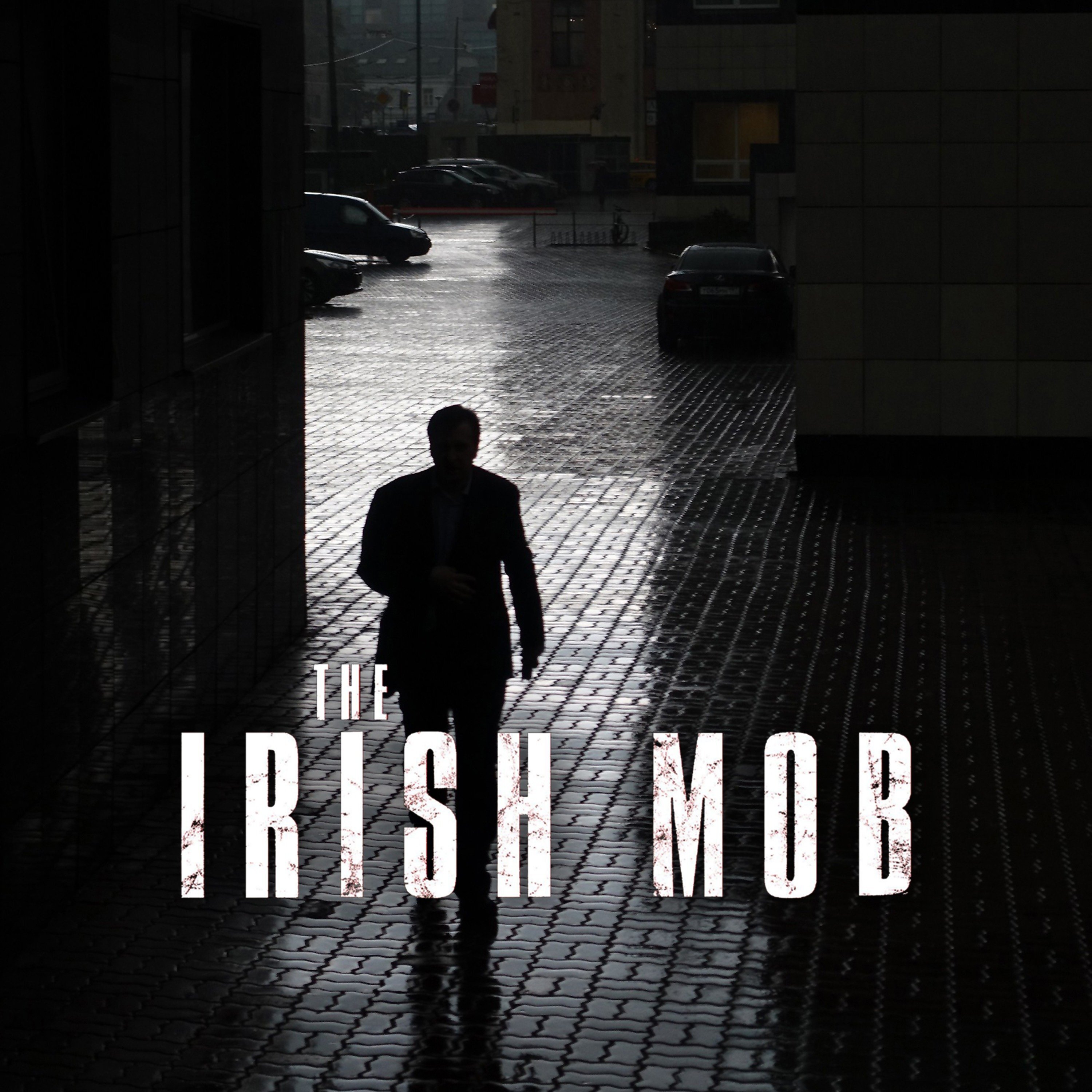 The Irish Mob