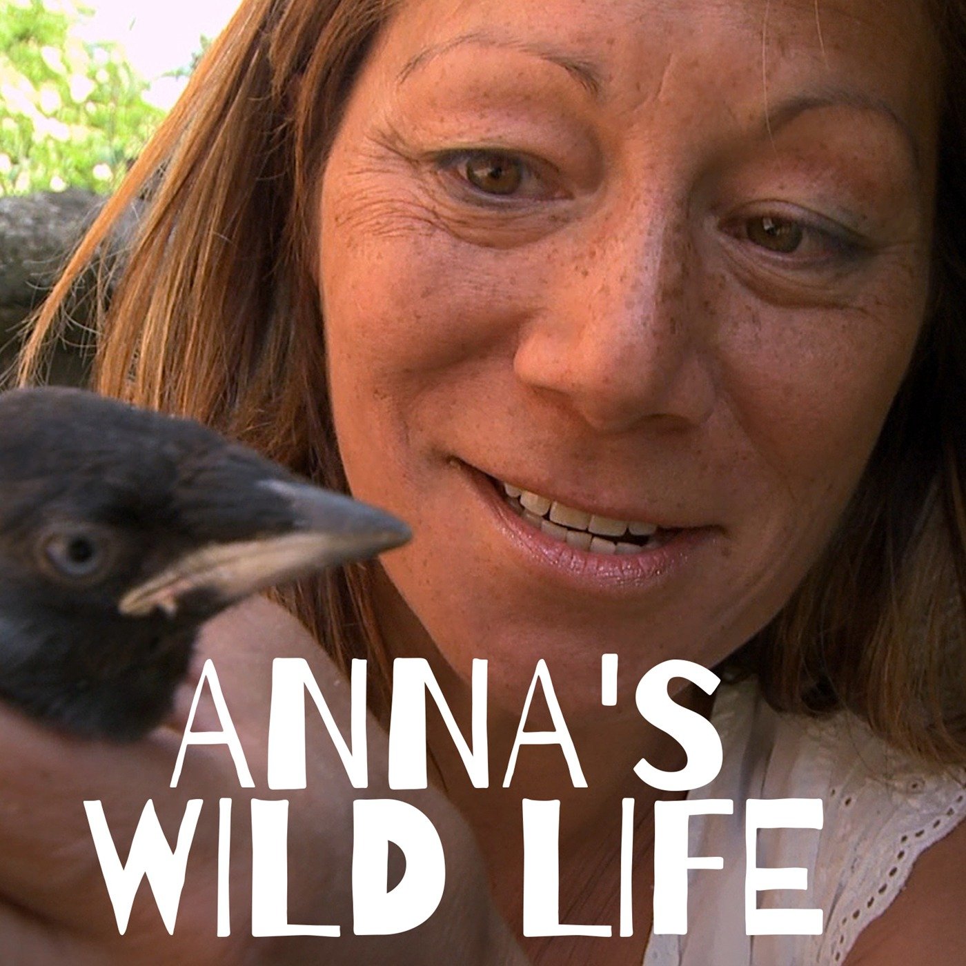 Anna's Wild Life