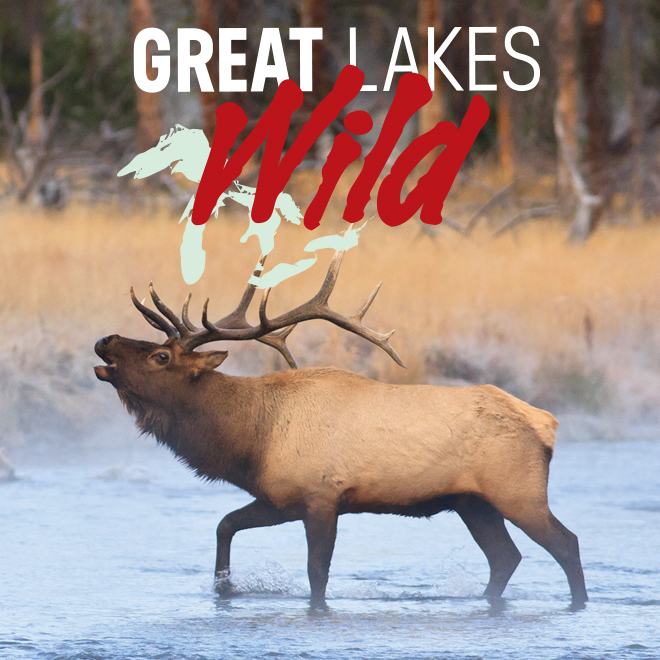 Great Lakes Wild