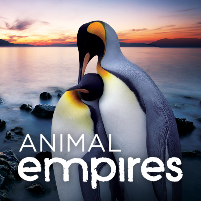 Animal Empires