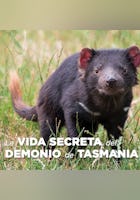 La vida secreta del demonio de Tasmania