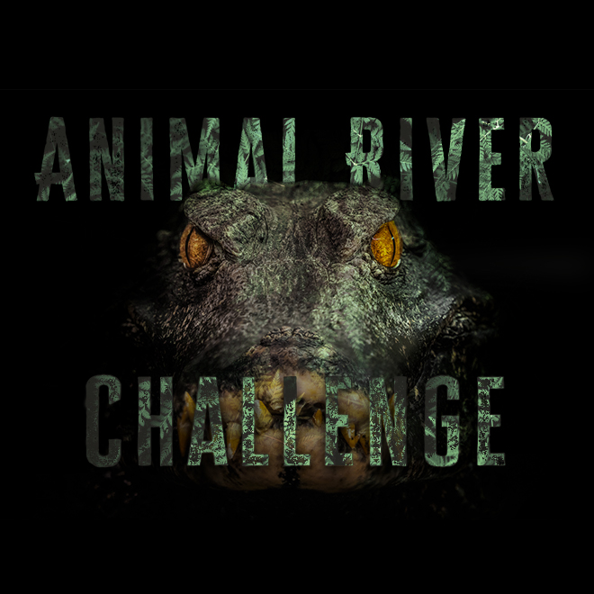 Animal River Challenge