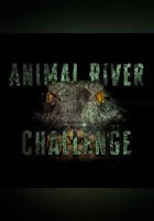 Animal River Challenge