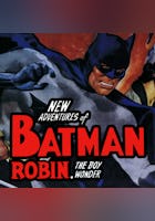 New Adventures Of Batman And Robin