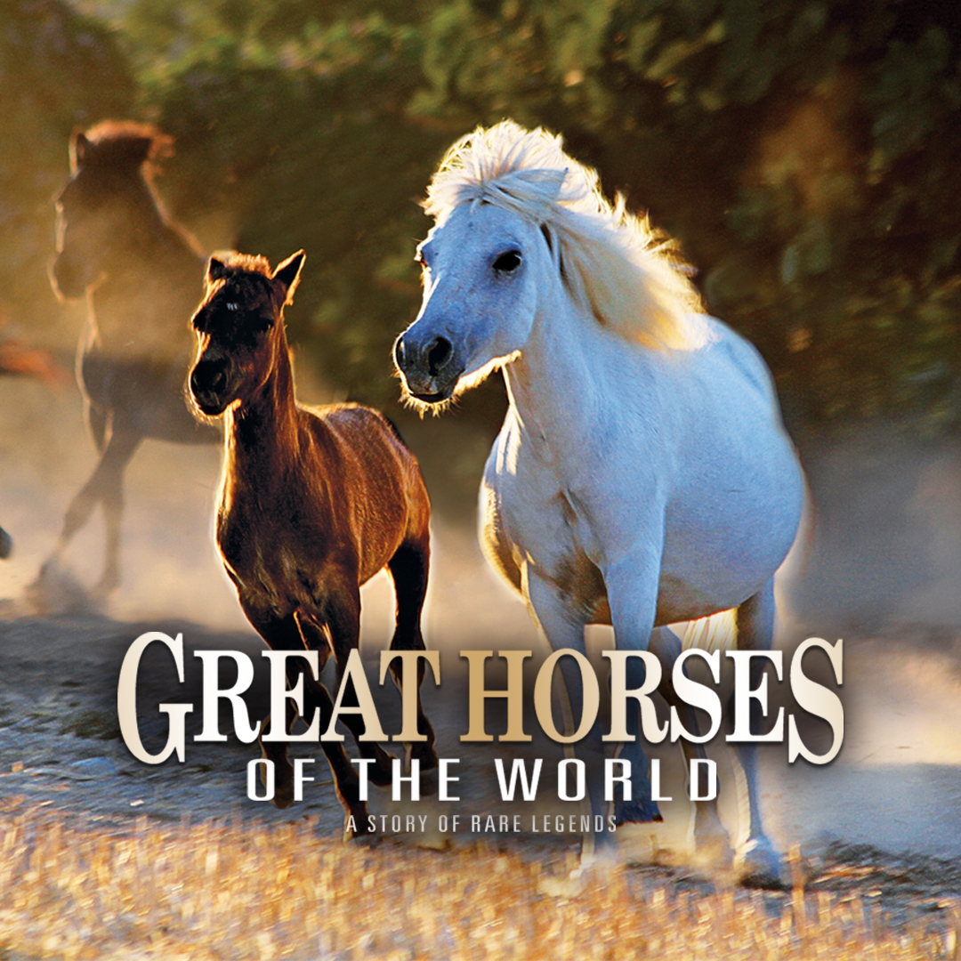 Great Horses of the World