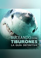 Buceo con Tiburones: La Guía Definitiva
