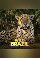 Wild Brazil: The Land of Fire and Flood