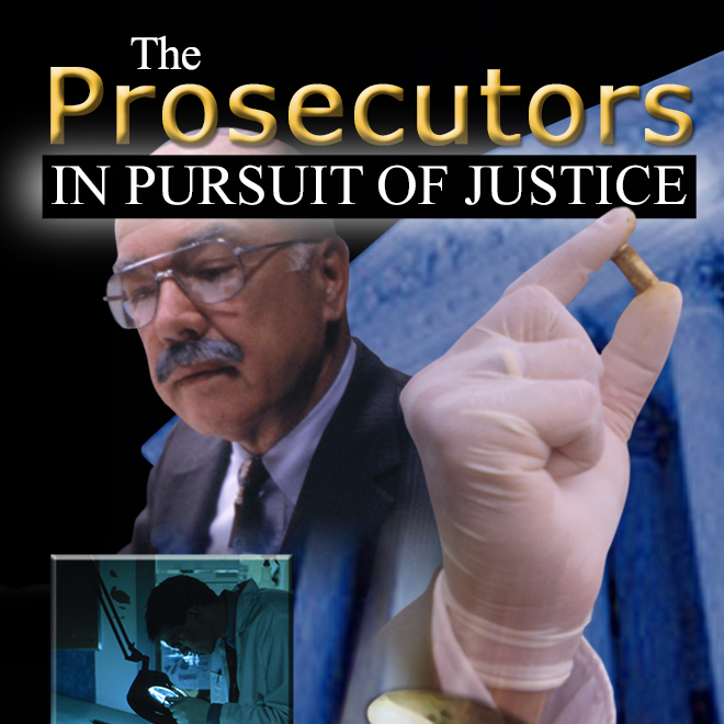 The Prosecutors: In Pursuit of Justice