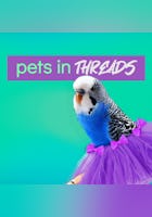 Pets In Threads
