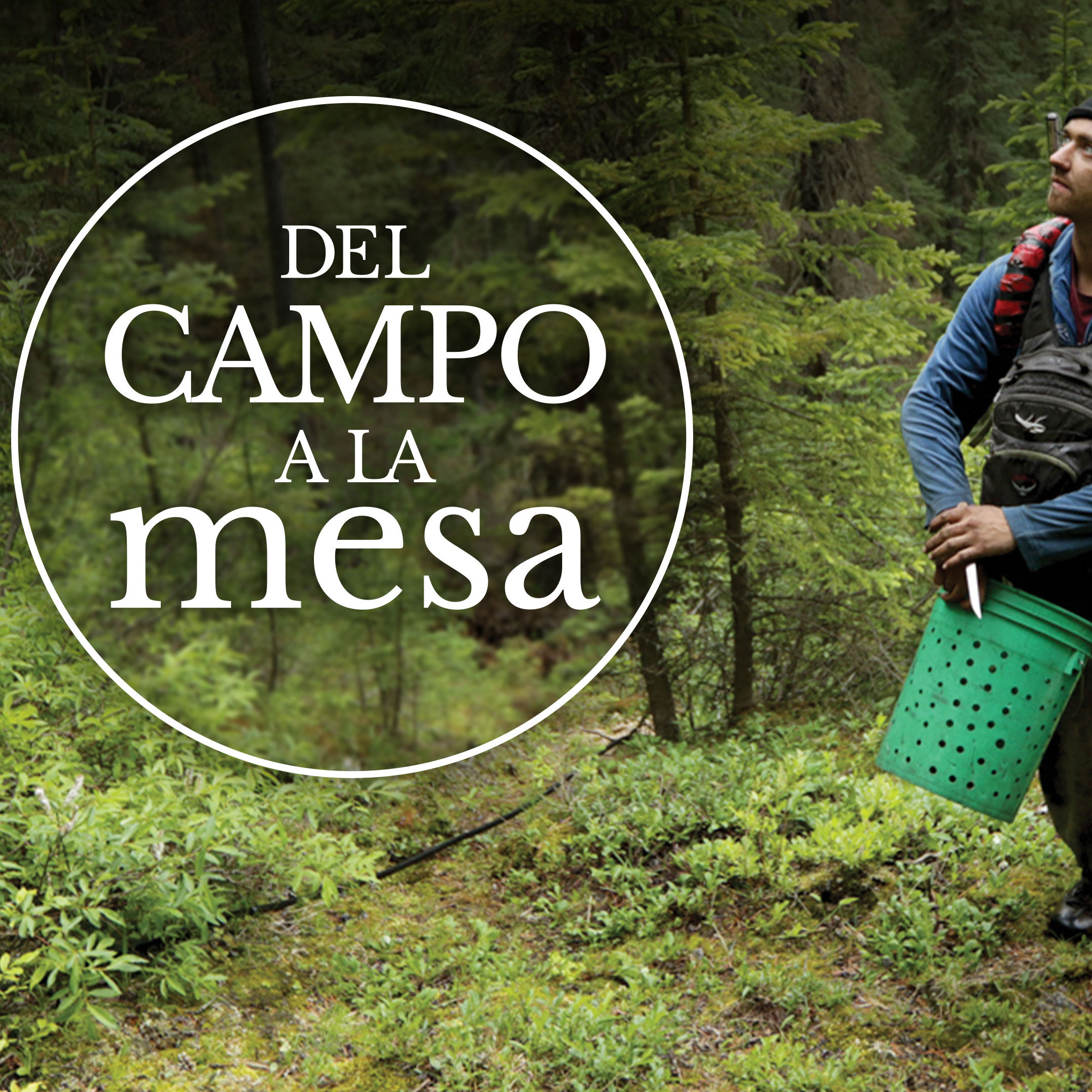 De la naturaleza a la mesa