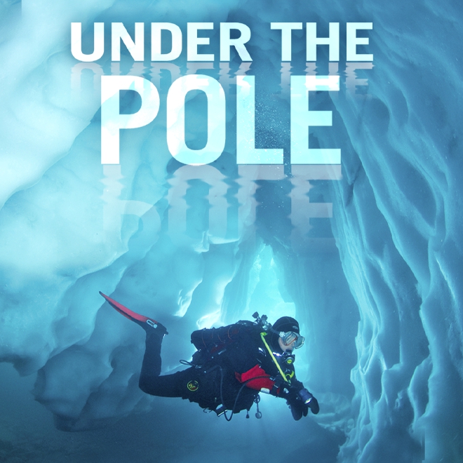 Under the Pole