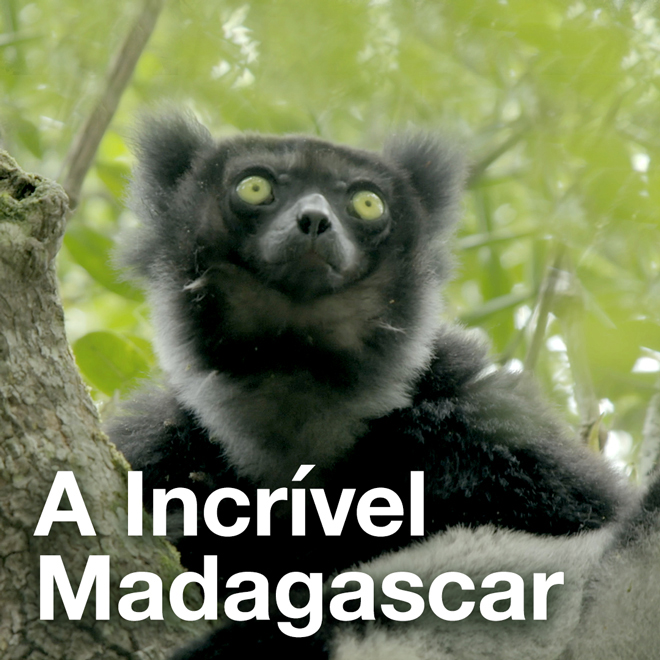 A Incrível Madagascar