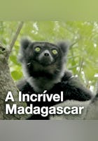 A Incrível Madagascar