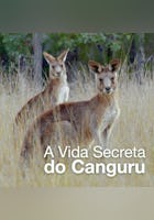 A Vida Secreta do Canguru