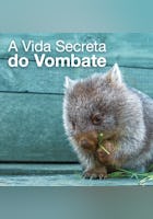 A Vida Secreta do Vombate