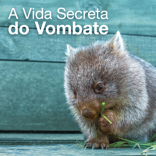 A Vida Secreta do Vombate