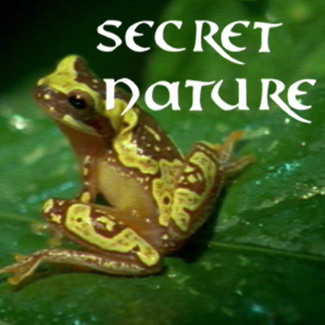 Secret Nature