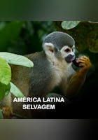 América Latina Selvagem