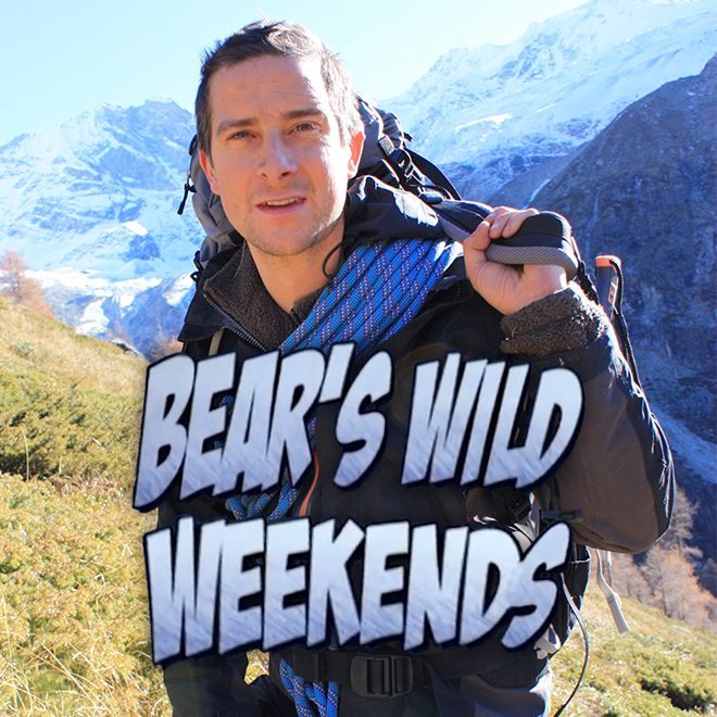 Bear's Wild Weekends