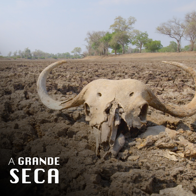A Grande Seca