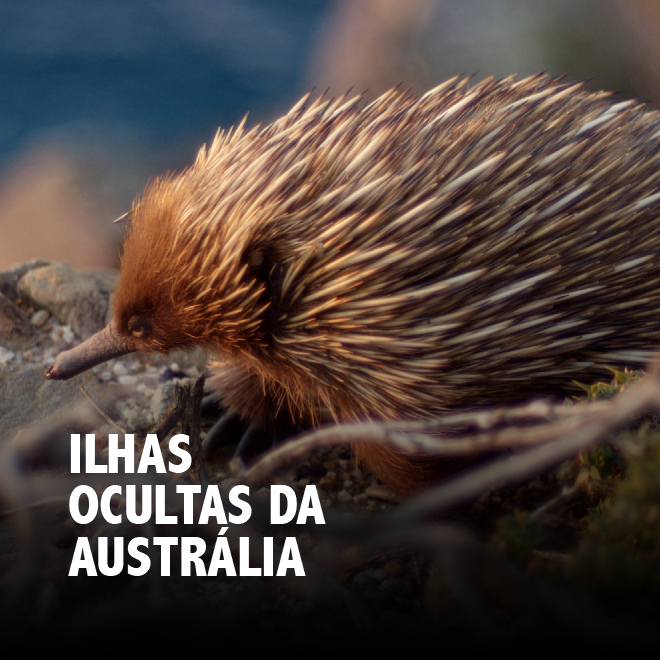Ilhas Ocultas da Austrália
