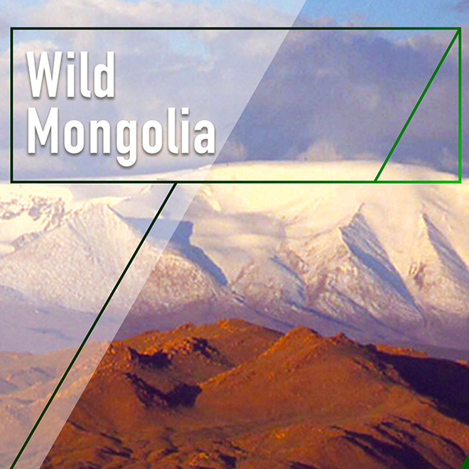 Wild Mongolia