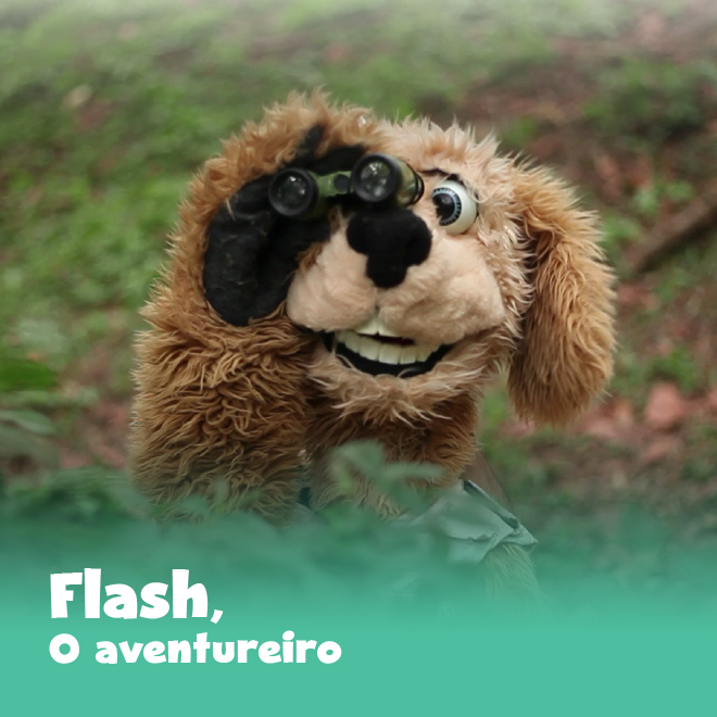 Flash, o Aventureiro