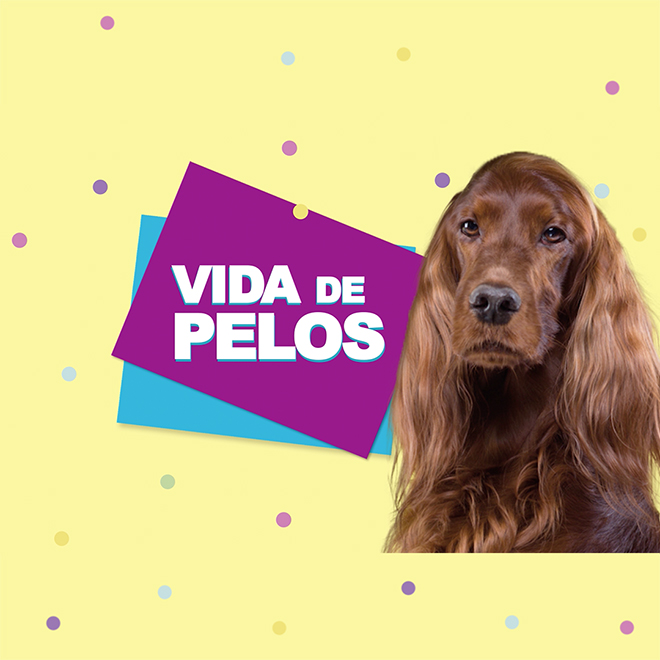 Vida de Pelos