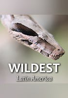 Naturparadiese in Lateinamerika