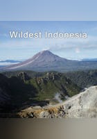 Wildest Indonesia