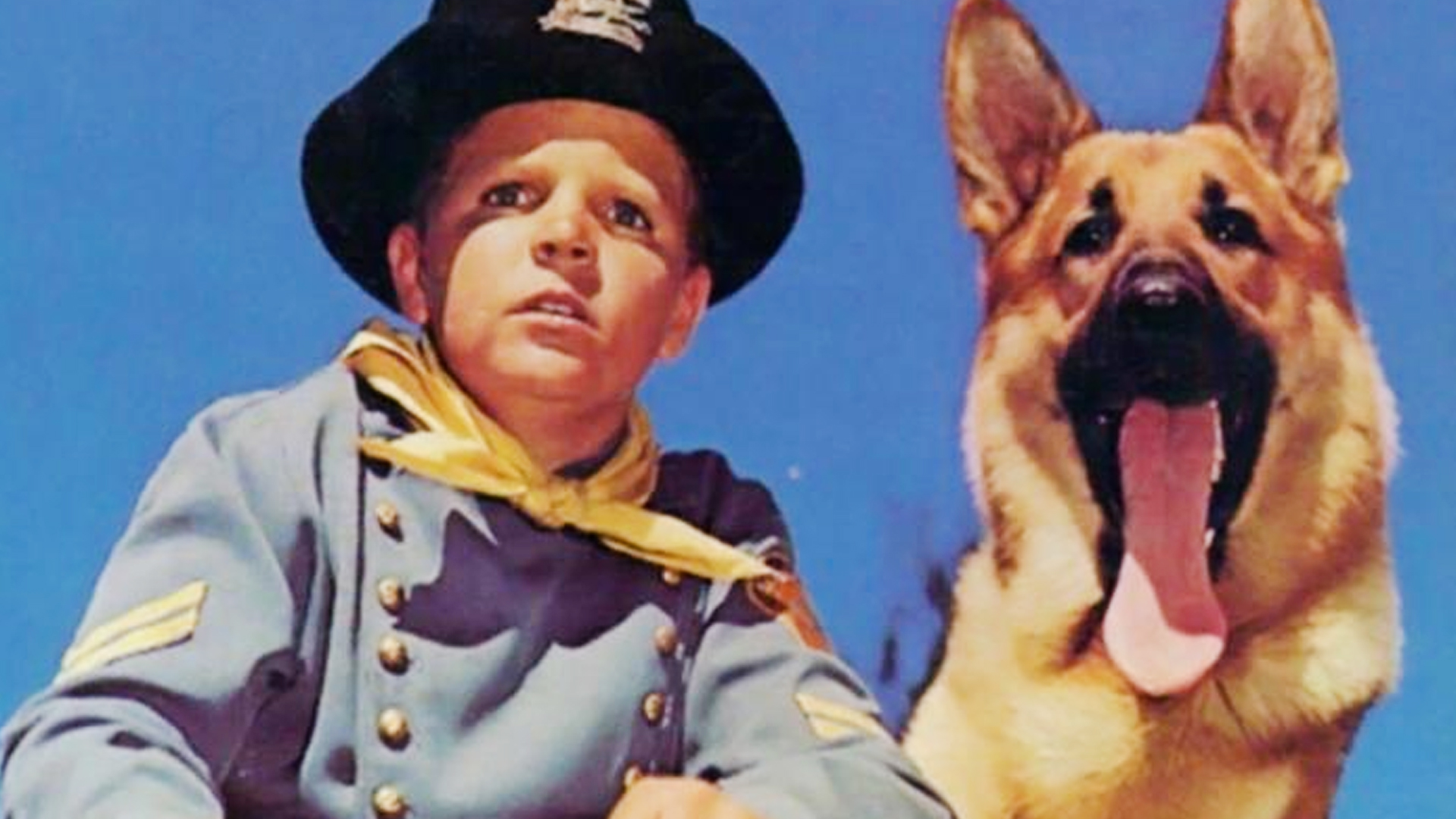 Rintintin Watch Free on Pluto TV Brazil