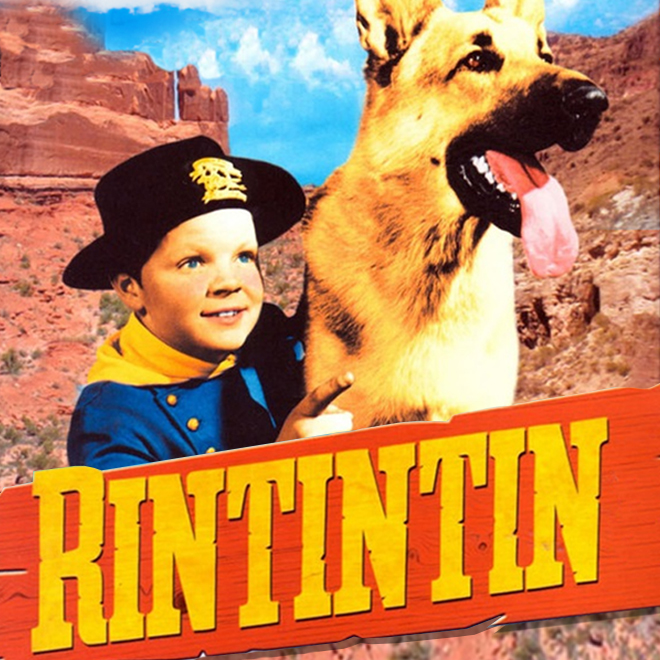 Rin-tin-tin