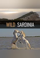 The Epitome of Pure Wilderness: Sardinia
