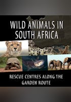 Wild Animals on the South African Garden Route
