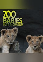 Zoo Babies: Cute and Curious