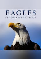 Eagles - Kings of the Skies