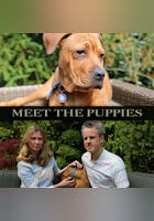 Meet the Puppies