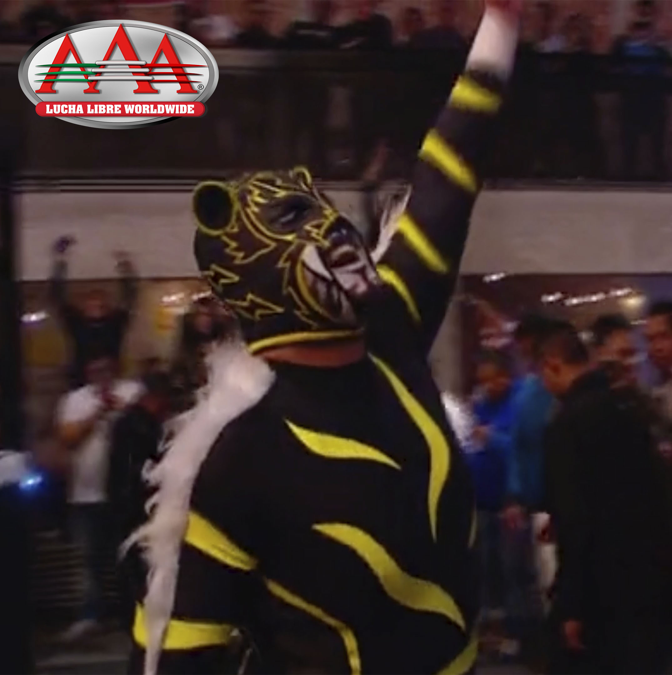 Lucha Capital